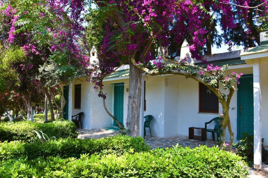 Myndos Bed & Breakfast Bodrum ภายนอก รูปภาพ